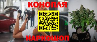 индика Пугачёв