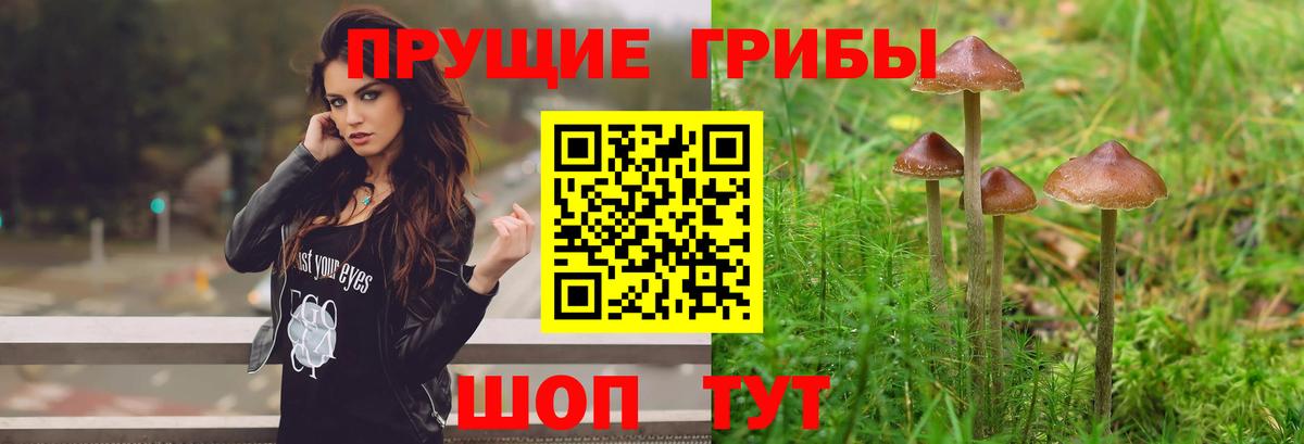 Псилоцибиновые грибы Magic Shrooms Сегежа